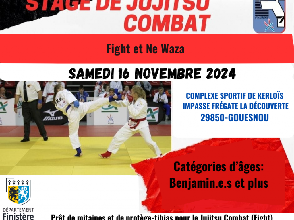 Image de l'actu 'Stage du Pôle Jujitsu 29'