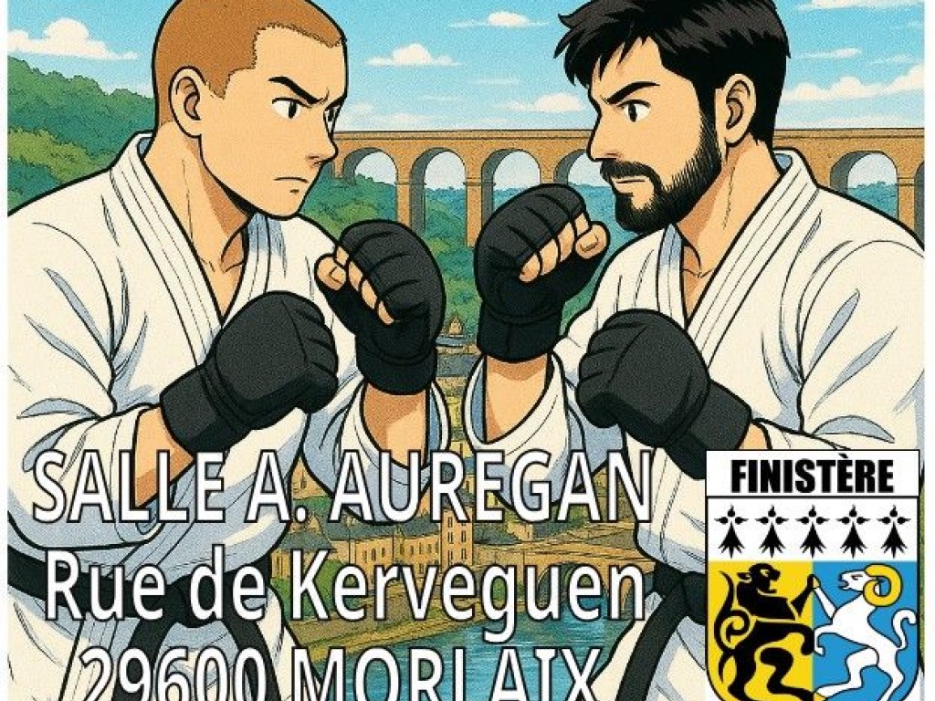 Image de l'actu 'Stage départemental jujitsu'
