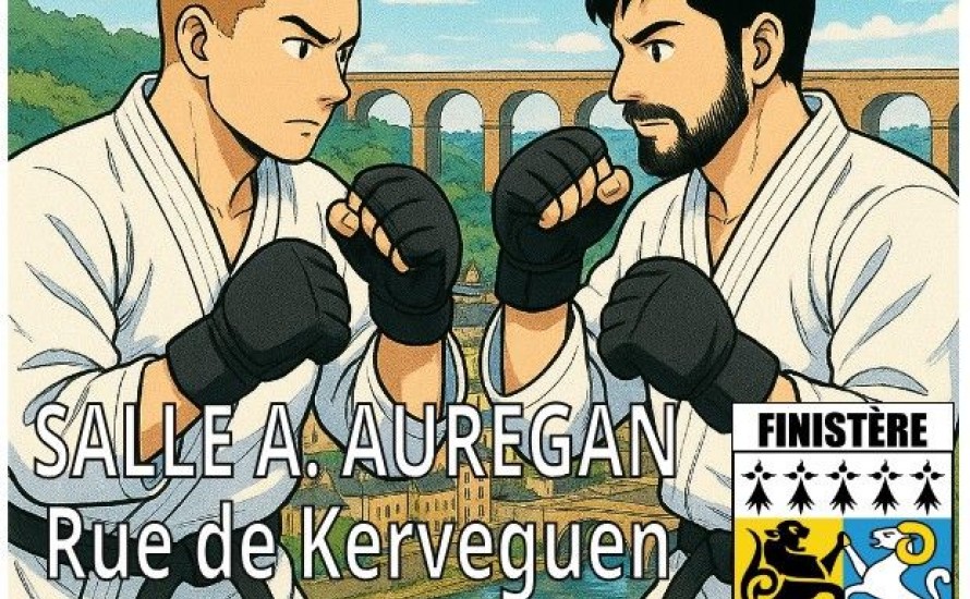 Stage départemental jujitsu