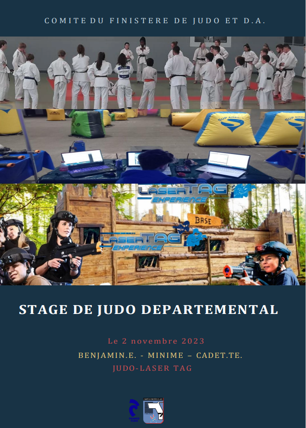 Stage de judo Départemental